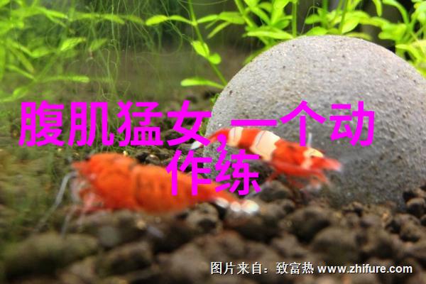 梦见纽扣扣子